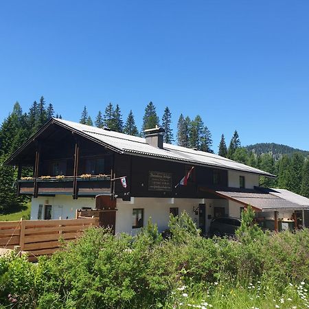 Ferienhaus Schaefer - Apartments - Wintersports - Family Holiday - Holiday With Your Dog - Rural & Scenic Flattnitz エクステリア 写真