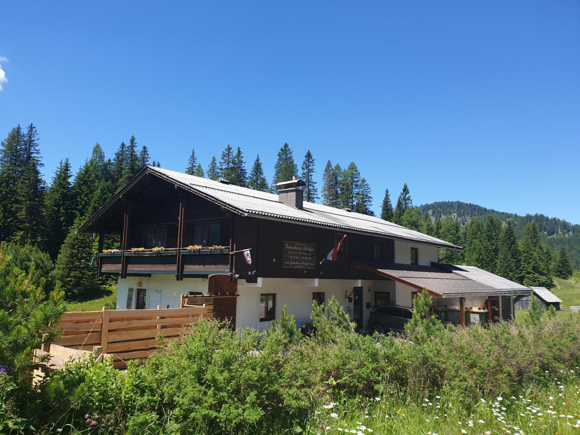 Ferienhaus Schaefer - Apartments - Wintersports - Family Holiday - Holiday With Your Dog - Rural & Scenic Flattnitz エクステリア 写真