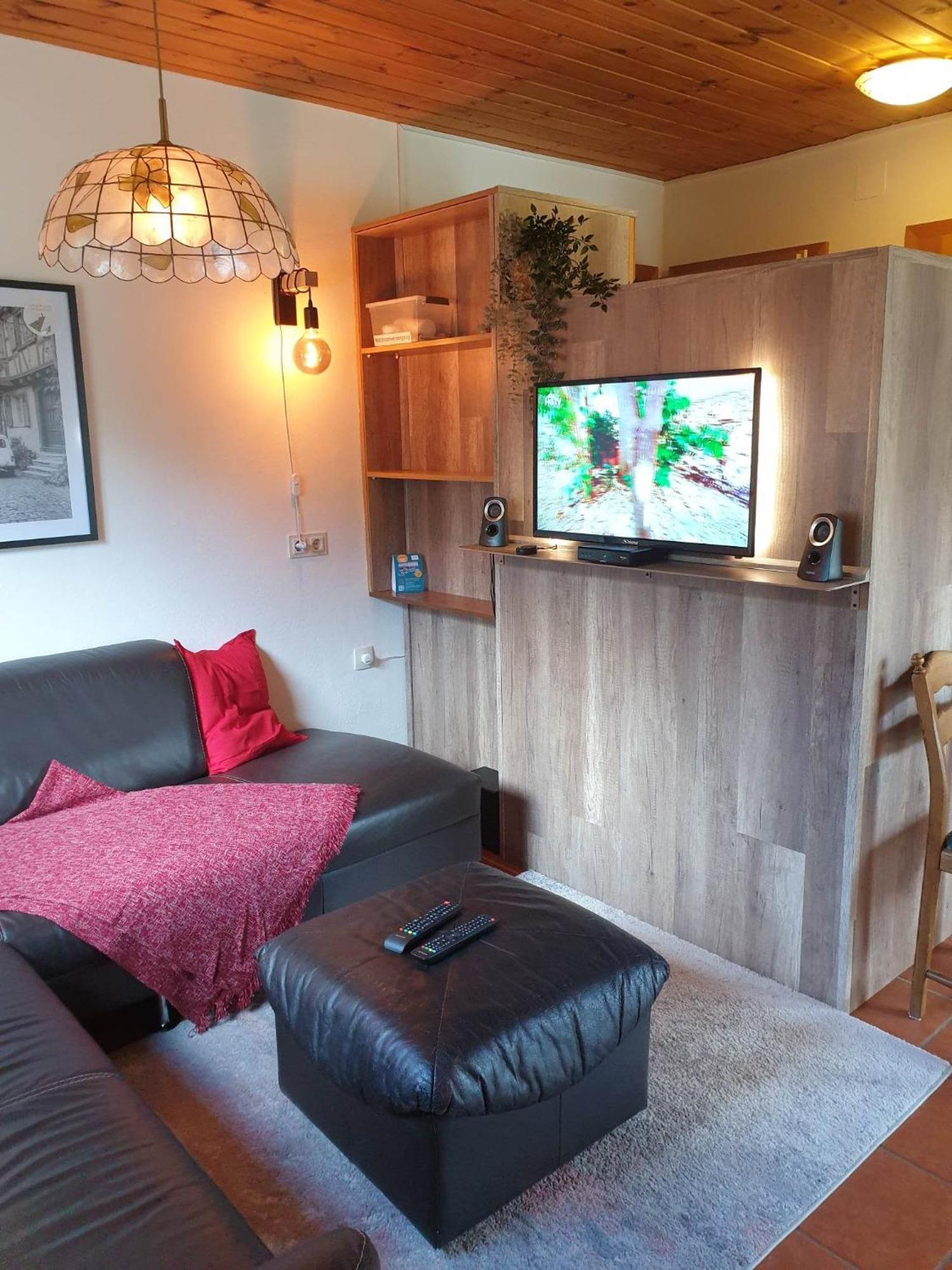 Ferienhaus Schaefer - Apartments - Wintersports - Family Holiday - Holiday With Your Dog - Rural & Scenic Flattnitz エクステリア 写真