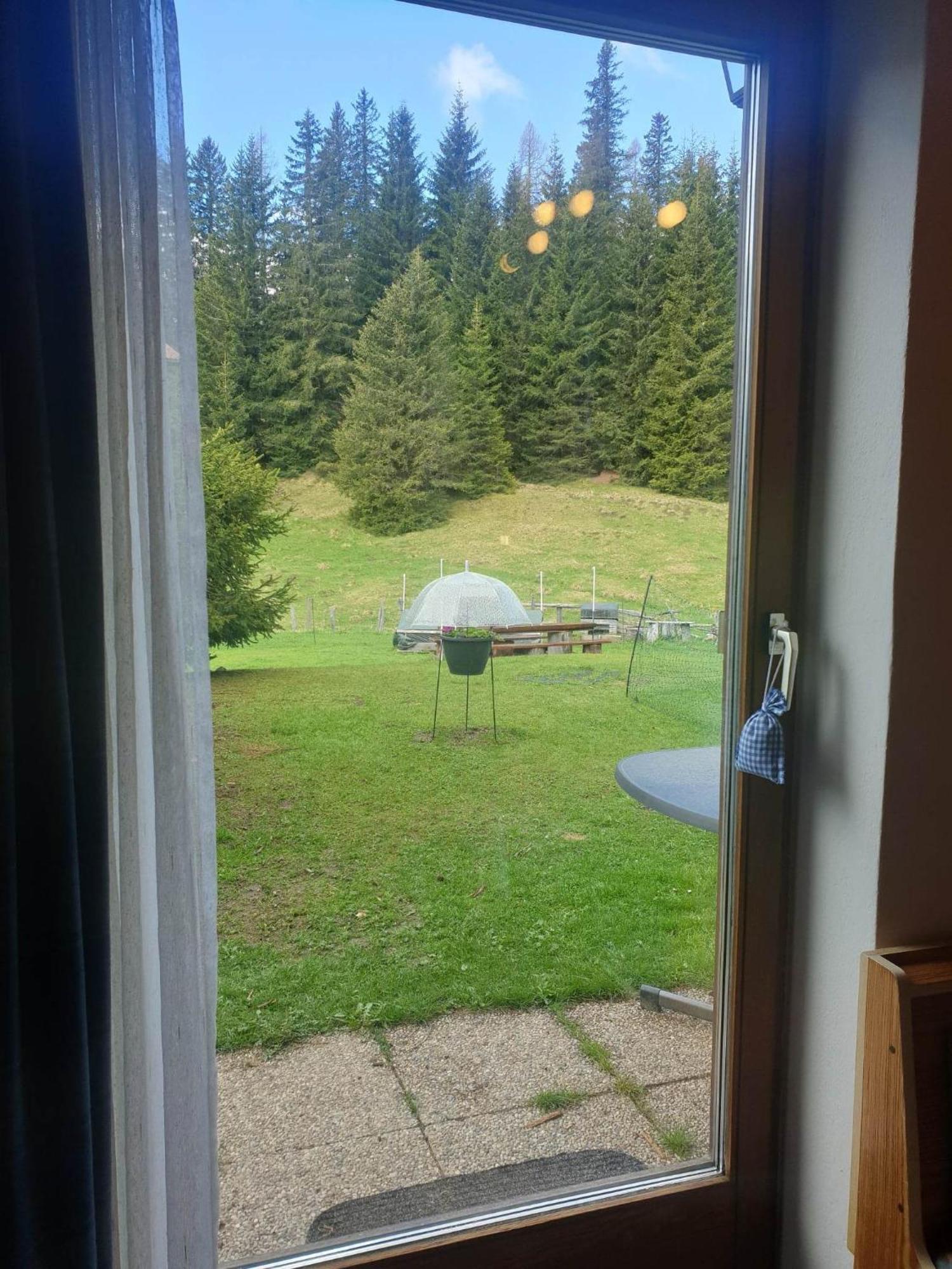 Ferienhaus Schaefer - Apartments - Wintersports - Family Holiday - Holiday With Your Dog - Rural & Scenic Flattnitz エクステリア 写真