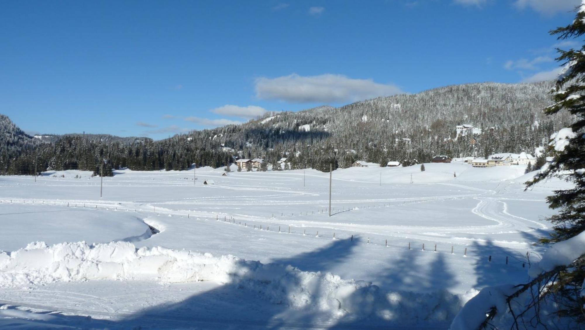 Ferienhaus Schaefer - Apartments - Wintersports - Family Holiday - Holiday With Your Dog - Rural & Scenic Flattnitz エクステリア 写真