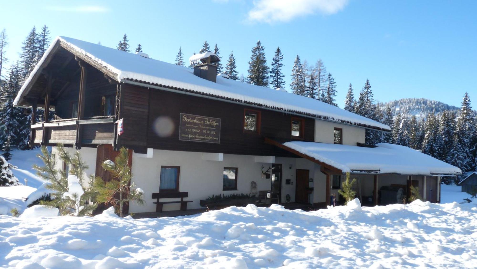 Ferienhaus Schaefer - Apartments - Wintersports - Family Holiday - Holiday With Your Dog - Rural & Scenic Flattnitz エクステリア 写真