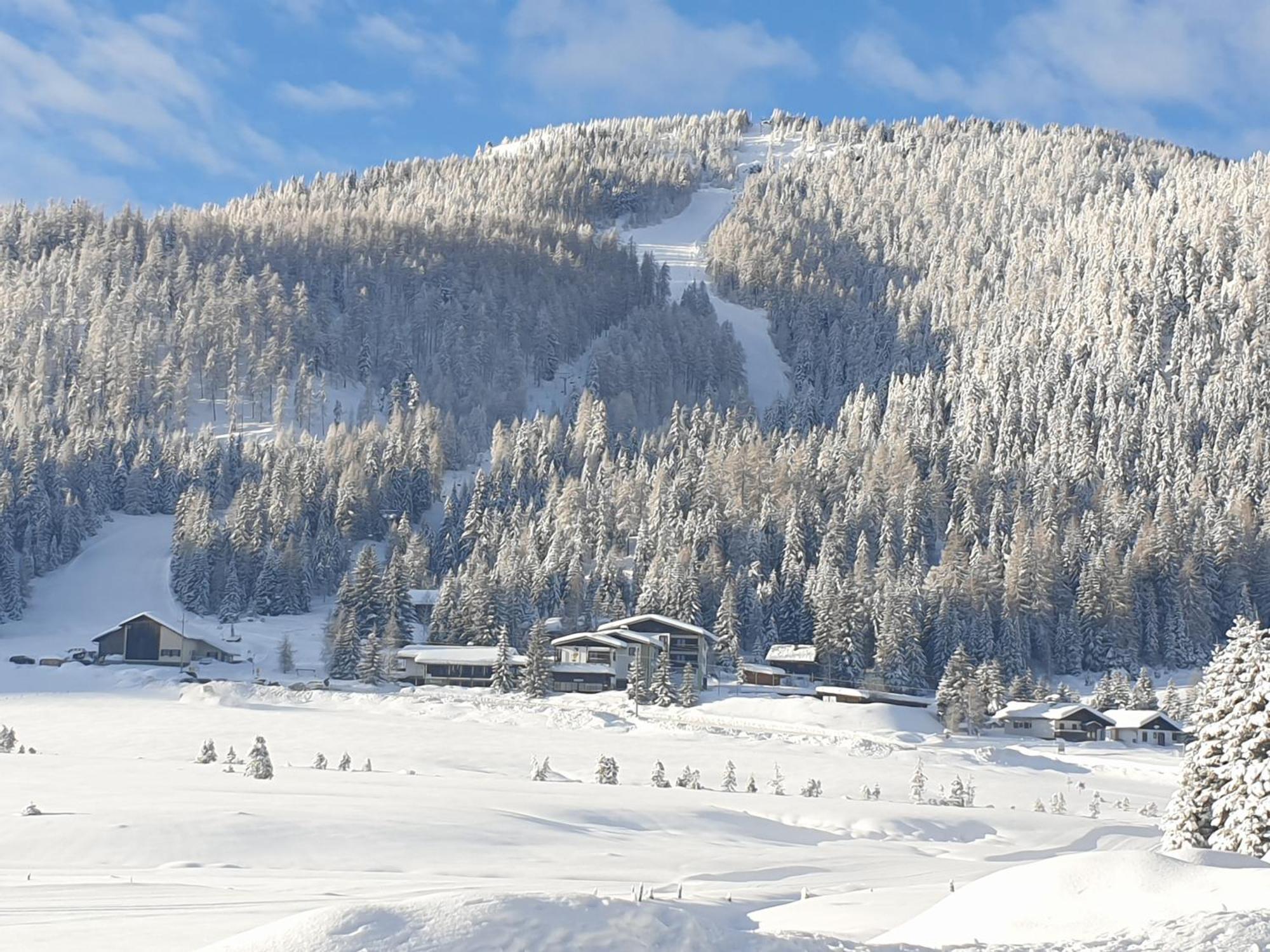 Ferienhaus Schaefer - Apartments - Wintersports - Family Holiday - Holiday With Your Dog - Rural & Scenic Flattnitz エクステリア 写真