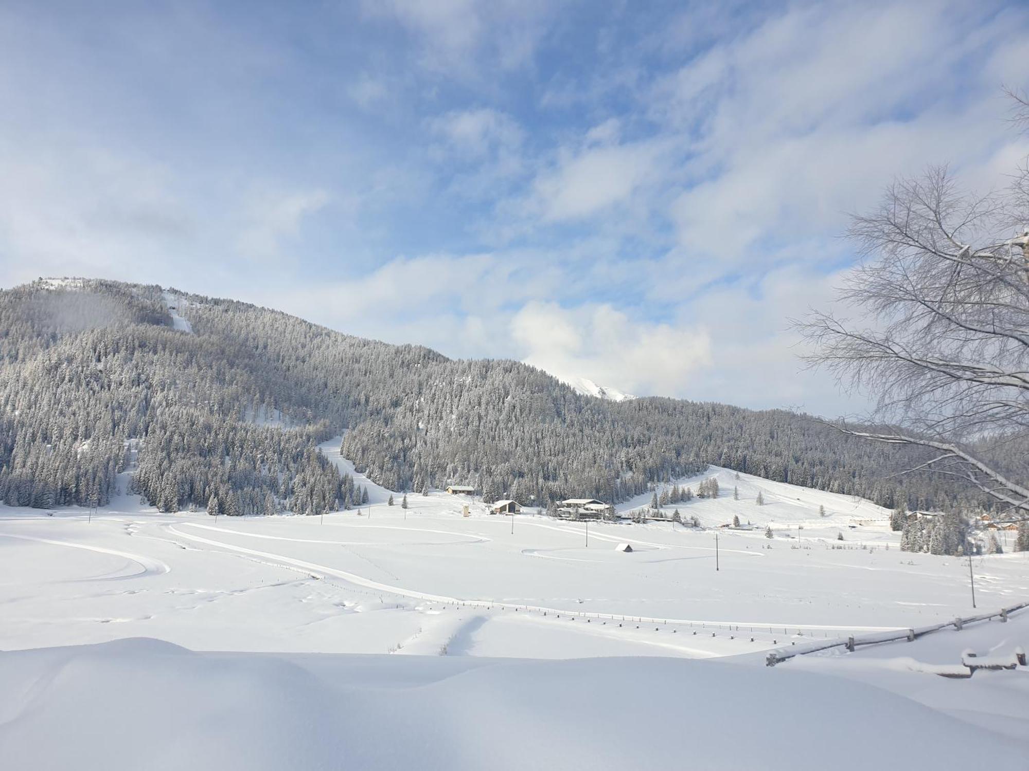 Ferienhaus Schaefer - Apartments - Wintersports - Family Holiday - Holiday With Your Dog - Rural & Scenic Flattnitz エクステリア 写真