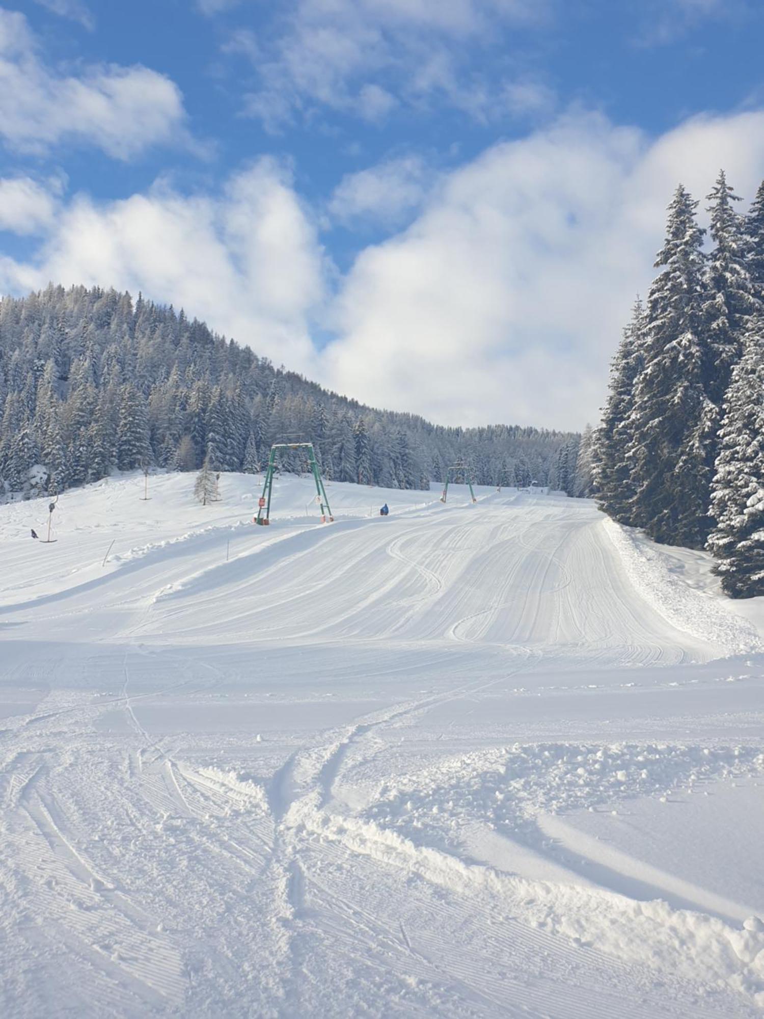 Ferienhaus Schaefer - Apartments - Wintersports - Family Holiday - Holiday With Your Dog - Rural & Scenic Flattnitz エクステリア 写真