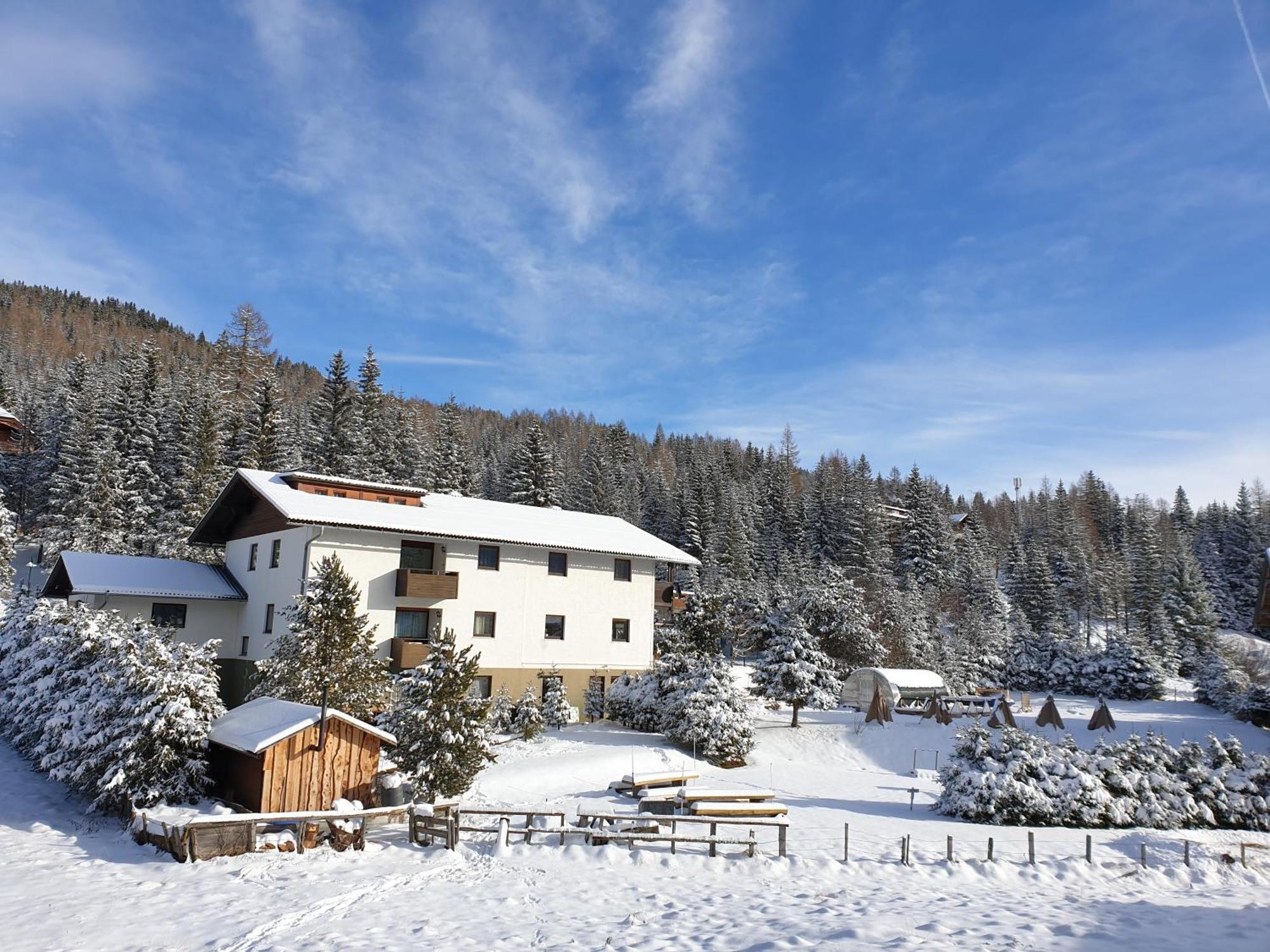 Ferienhaus Schaefer - Apartments - Wintersports - Family Holiday - Holiday With Your Dog - Rural & Scenic Flattnitz エクステリア 写真