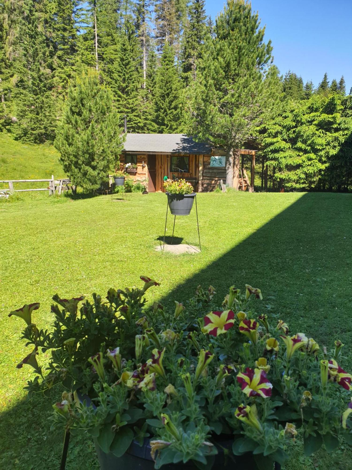 Ferienhaus Schaefer - Apartments - Wintersports - Family Holiday - Holiday With Your Dog - Rural & Scenic Flattnitz エクステリア 写真