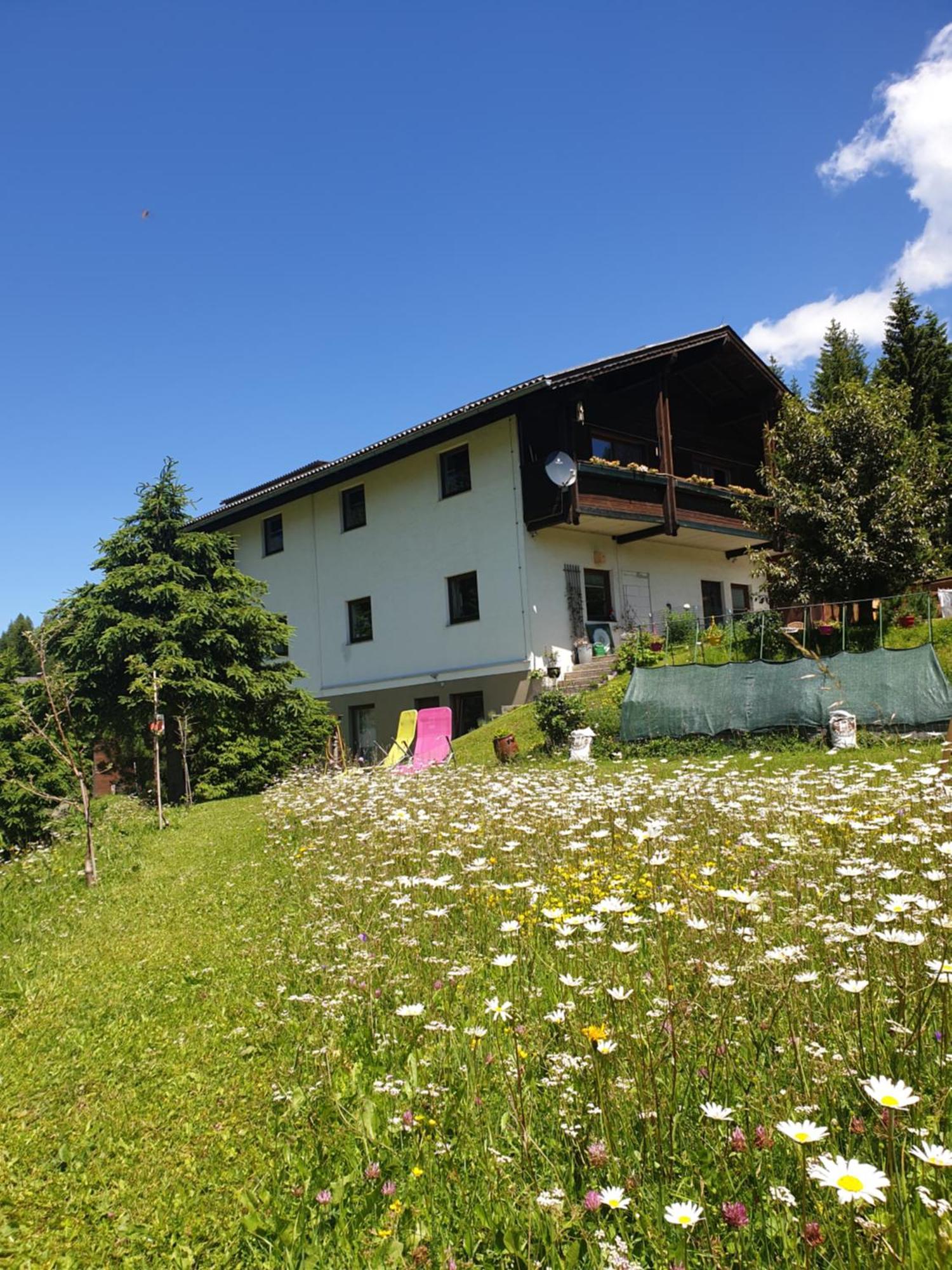 Ferienhaus Schaefer - Apartments - Wintersports - Family Holiday - Holiday With Your Dog - Rural & Scenic Flattnitz エクステリア 写真