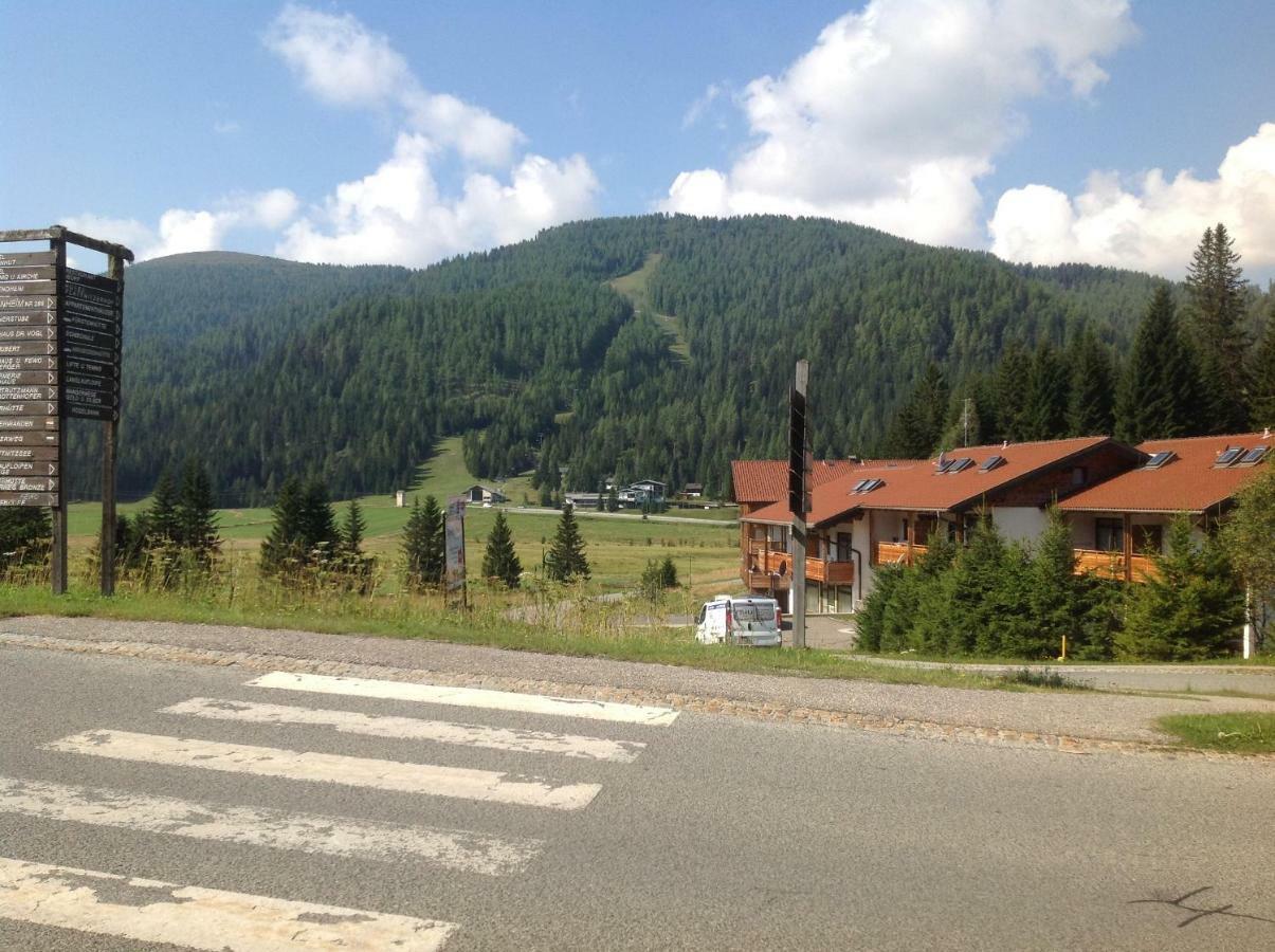 Ferienhaus Schaefer - Apartments - Wintersports - Family Holiday - Holiday With Your Dog - Rural & Scenic Flattnitz エクステリア 写真