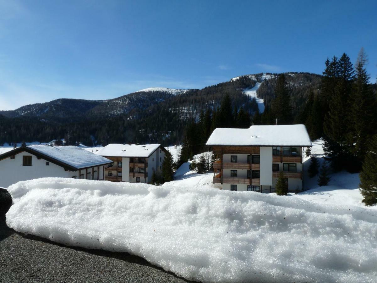 Ferienhaus Schaefer - Apartments - Wintersports - Family Holiday - Holiday With Your Dog - Rural & Scenic Flattnitz エクステリア 写真
