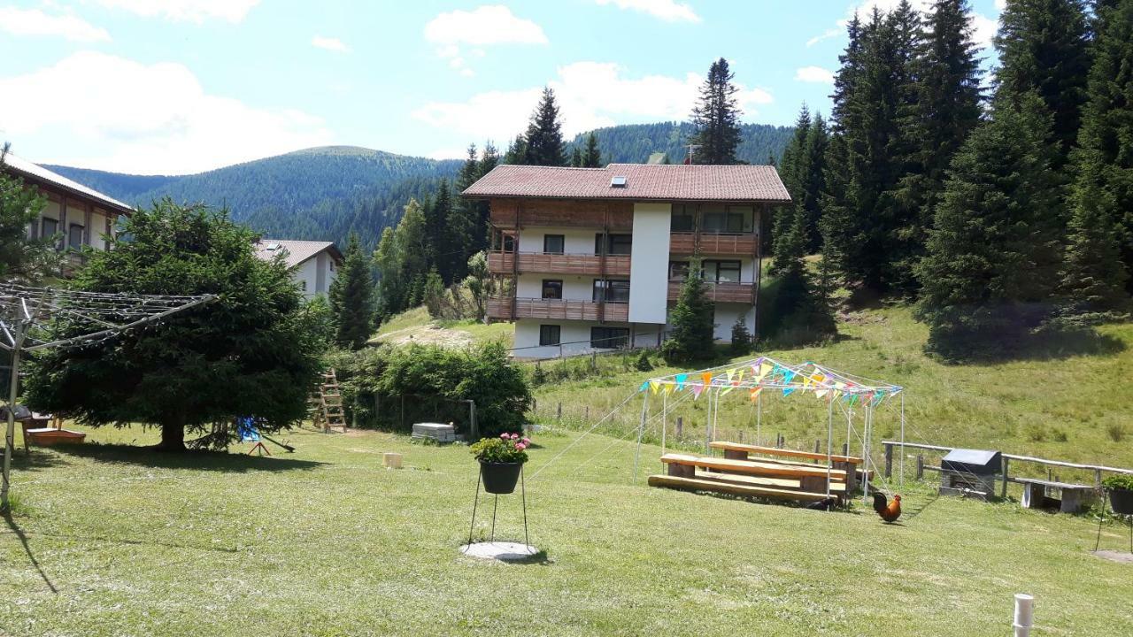 Ferienhaus Schaefer - Apartments - Wintersports - Family Holiday - Holiday With Your Dog - Rural & Scenic Flattnitz エクステリア 写真